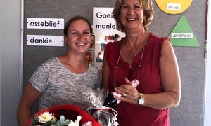 Valentynsfondse vir Gansies